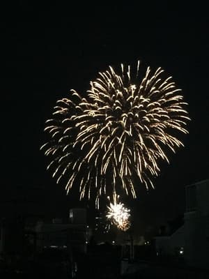 thumbnail: General view