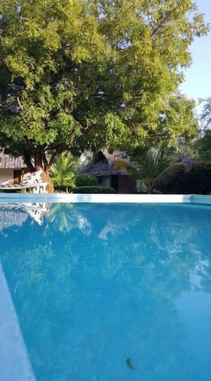 thumbnail: View from room