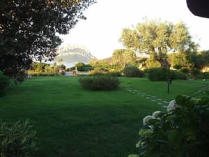 thumbnail: Garden