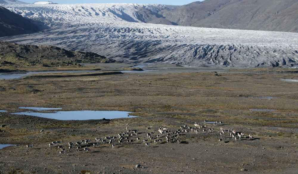 Mountain view