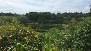 thumbnail: View from property
