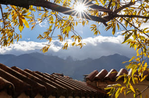 thumbnail: View from property