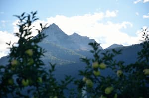 thumbnail: Mountain view