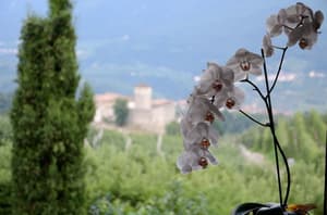 thumbnail: View from property