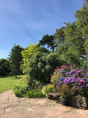 thumbnail: Garden