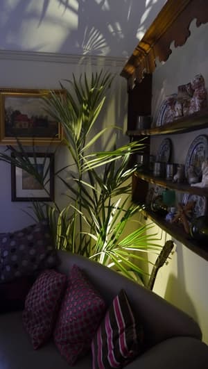 thumbnail: Interior