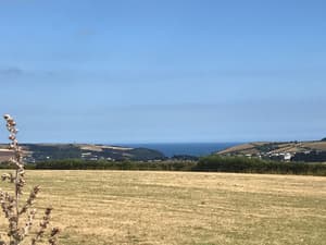 thumbnail: View from room