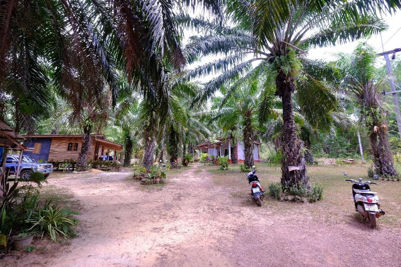 General view