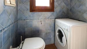 thumbnail: 902175787.jpg