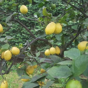 thumbnail: Beach