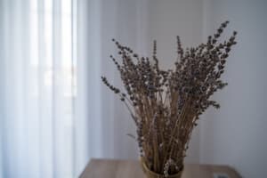thumbnail: Interior detail