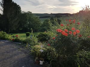 thumbnail: Garden