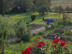 thumbnail: Garden