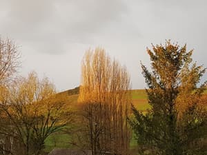 thumbnail: Exterior