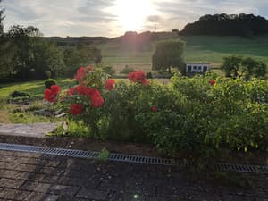 thumbnail: View from property