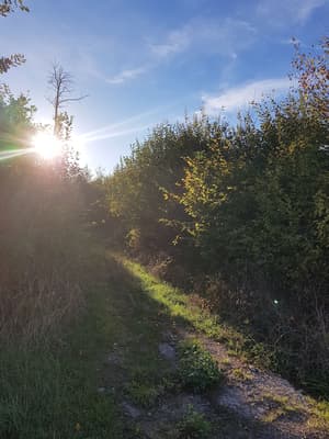 thumbnail: Hiking