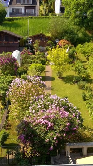 thumbnail: View from property