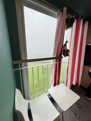 thumbnail: Garden view