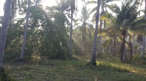 thumbnail: View from property