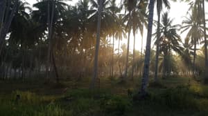 thumbnail: View from property