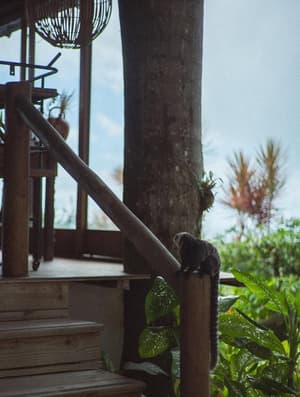 thumbnail: Sundeck