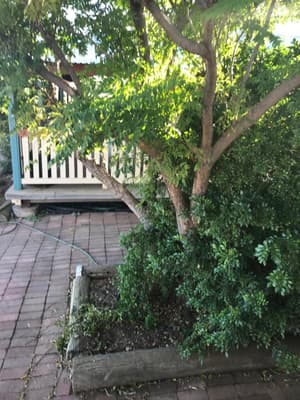 thumbnail: Property grounds
