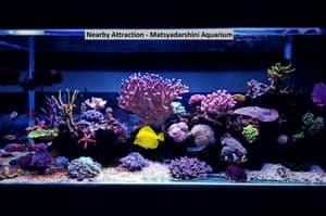 thumbnail: 2ee06b3ae6123ab27c60598cb4cbd6c8.jpg