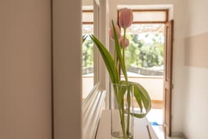 thumbnail: Interior entrance