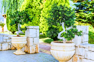 thumbnail: Garden