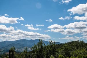 thumbnail: General view
