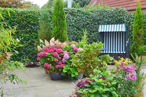 thumbnail: Terrace/patio