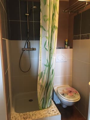 thumbnail: Bathroom shower