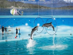 thumbnail: Children's play area - outdoor