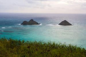 thumbnail: General view