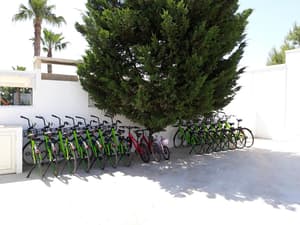 thumbnail: Bicycling