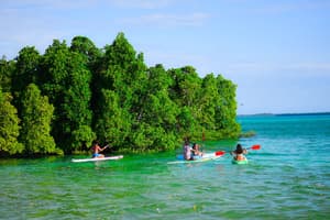 thumbnail: Kayaking