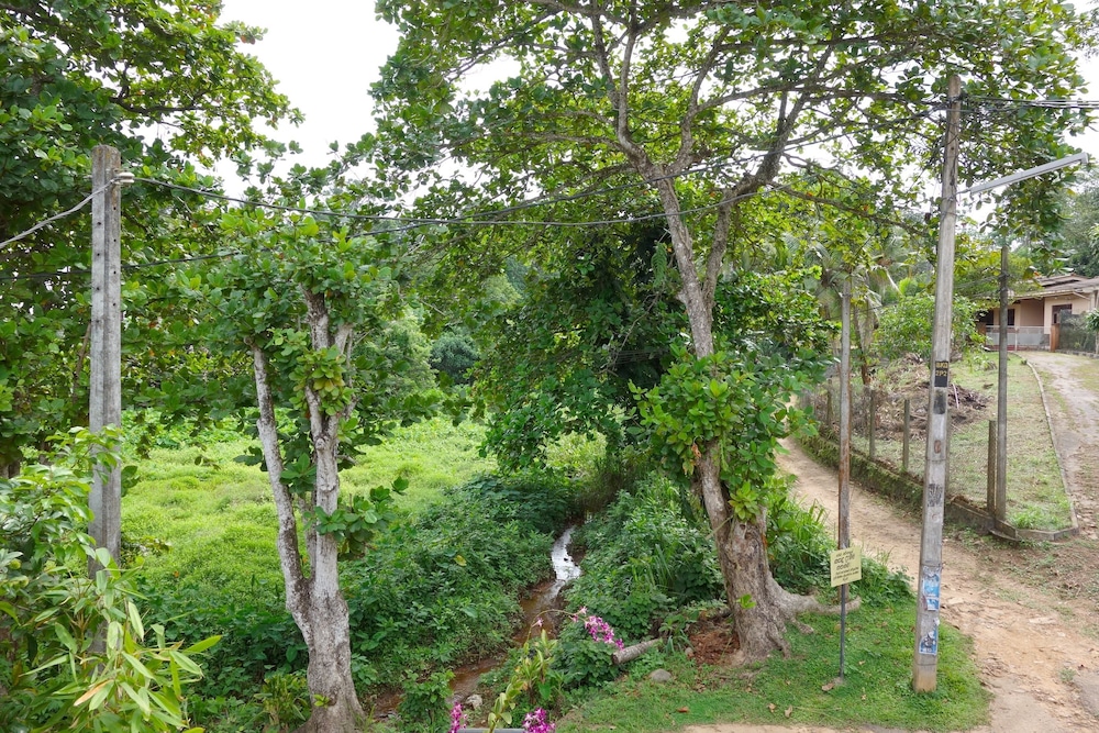 View from room