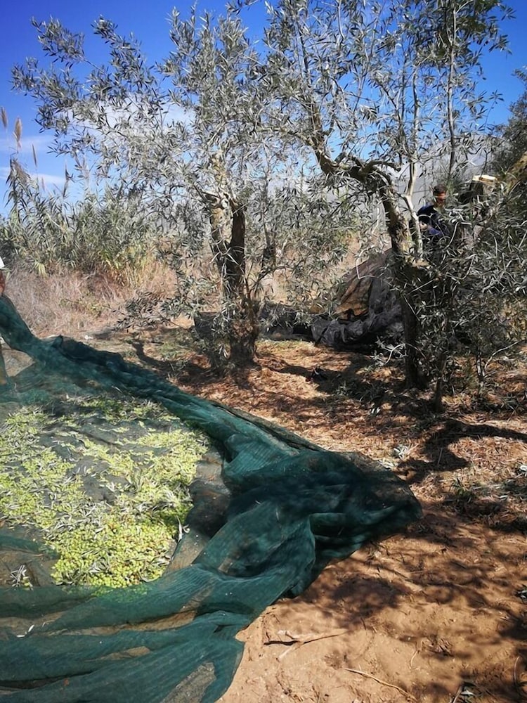 Ropes course (team building)