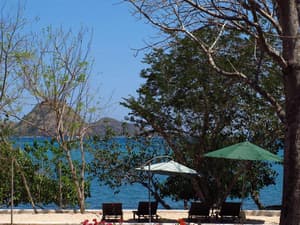 thumbnail: General view