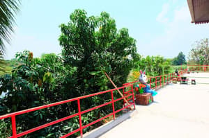 thumbnail: Terrace