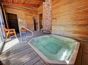 thumbnail: Indoor spa tub