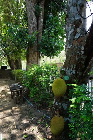 thumbnail: View from property