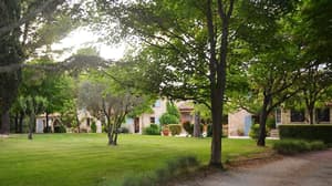 thumbnail: Garden