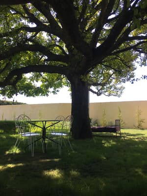 thumbnail: Garden