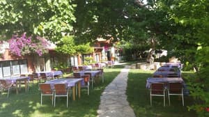 thumbnail: Outdoor dining