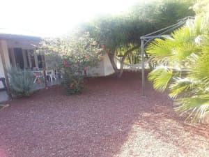 thumbnail: Garden