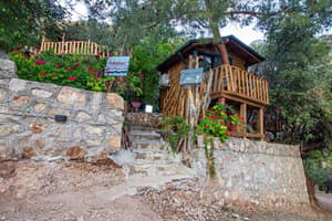 thumbnail: General view