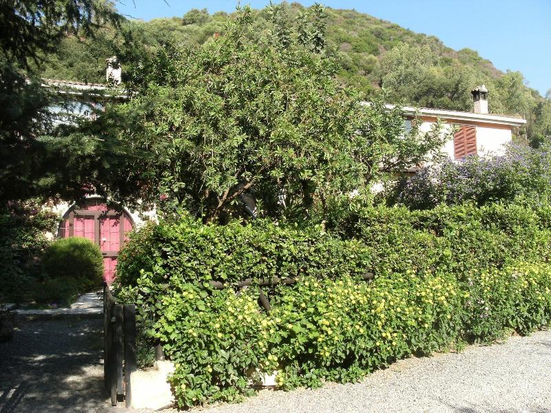 General view