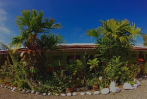 thumbnail: Property grounds