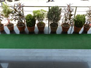 thumbnail: Interior entrance